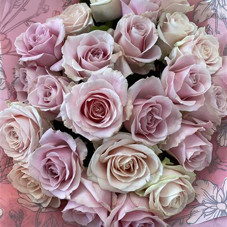 Just Roses The Rainflorist York